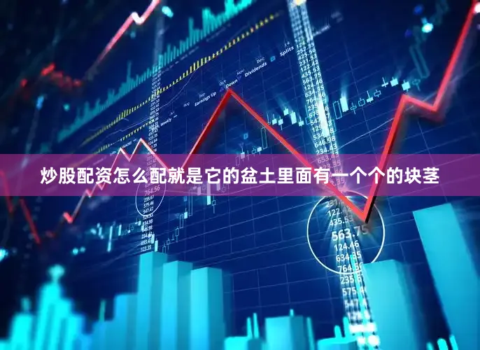 炒股配资怎么配就是它的盆土里面有一个个的块茎