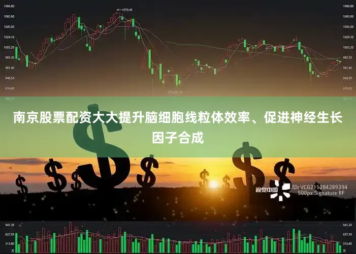 南京股票配资大大提升脑细胞线粒体效率、促进神经生长因子合成