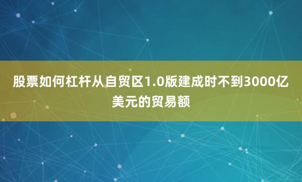 股票如何杠杆从自贸区1.0版建成时不到3000亿美元的贸易额